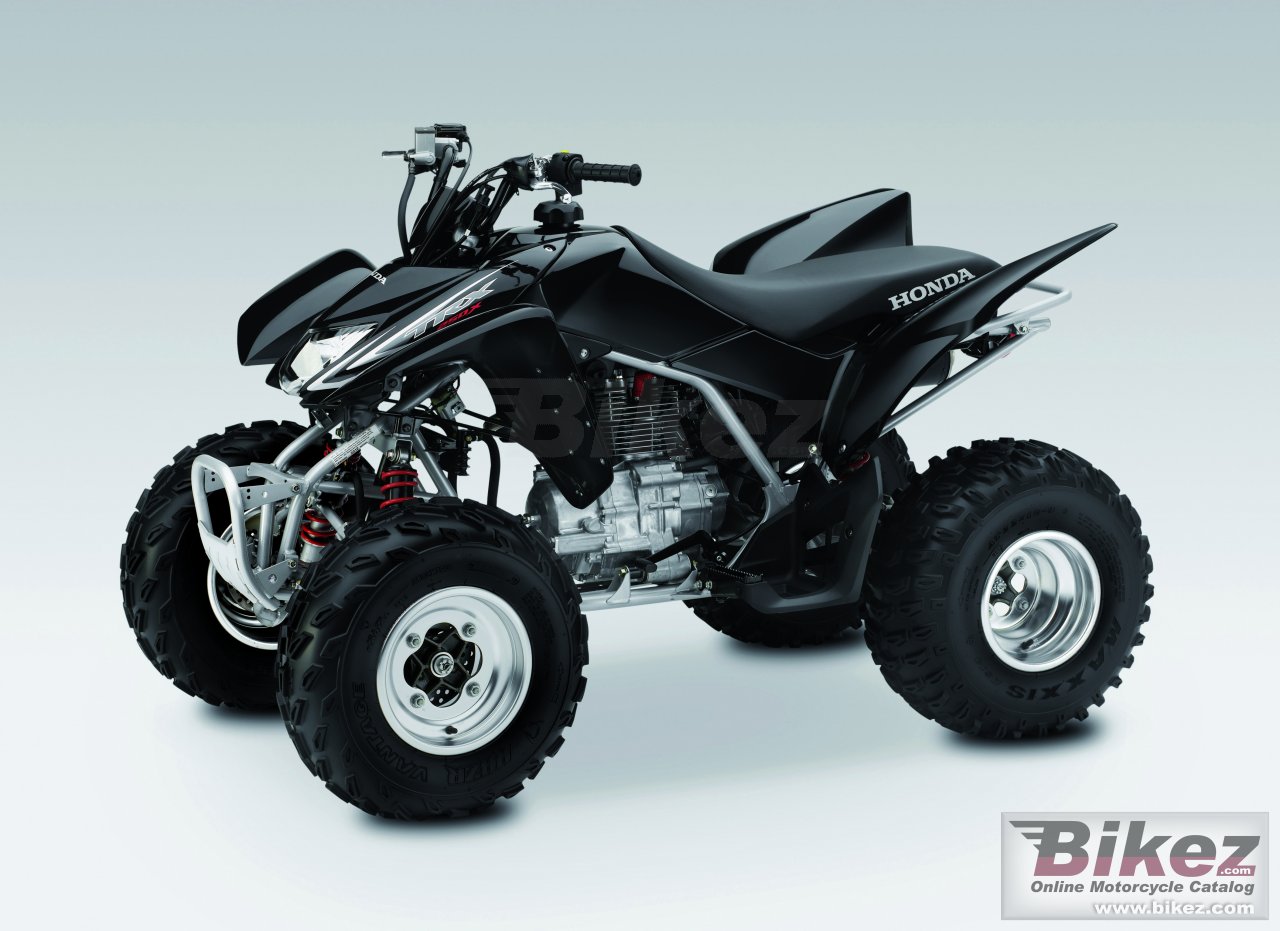 Big Honda trx250x picture and wallpaper from Bikez.com